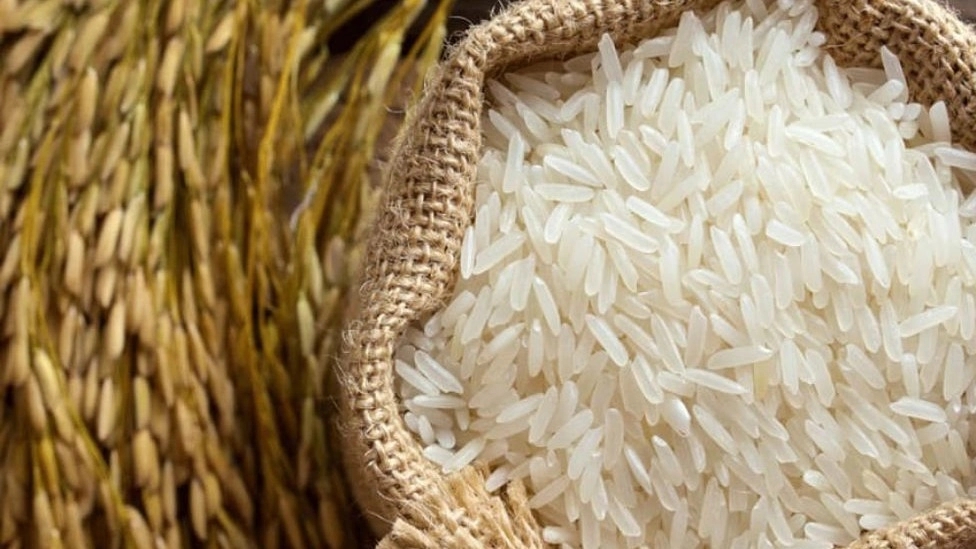 ☑️ برنج خوب چه برنجی است و خصوصیات آن چیست