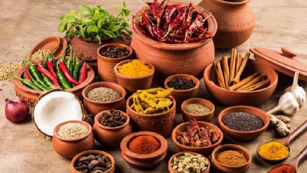 تاثیر گیاهان دارویی بر سلامت انسان