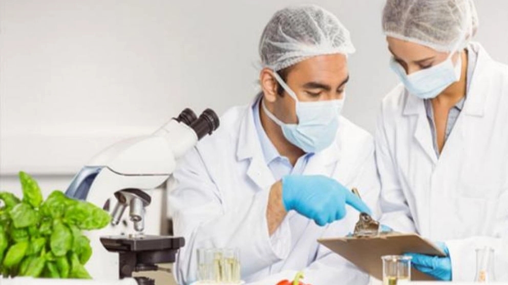لباس کار مناسب در کارخانجات و کسب و کار صنایع غذایی