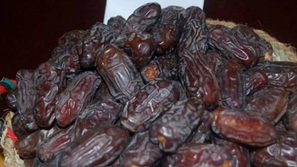 آشنایی با انواع خرما