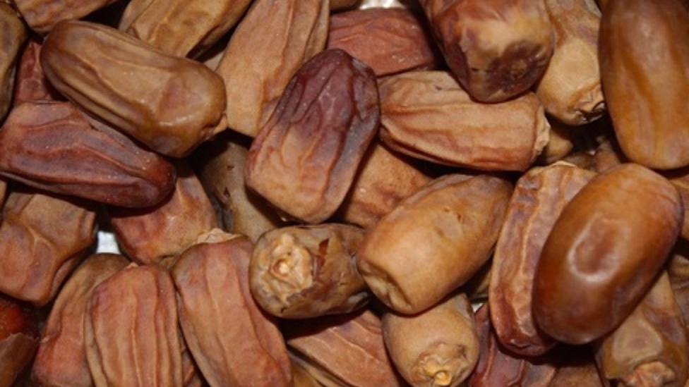 آشنایی با انواع خرما