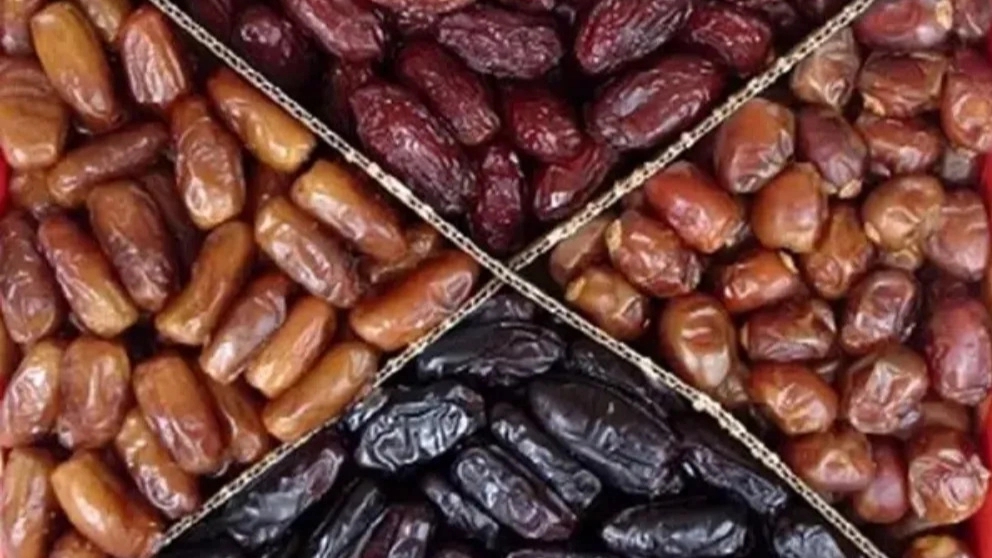 التعرف على أنواع التمر