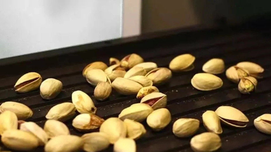 سورتینگ پسته و دلایل سورت پسته