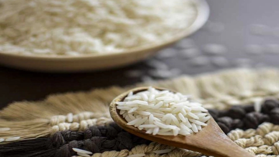 What is black tail rice and what are its properties?