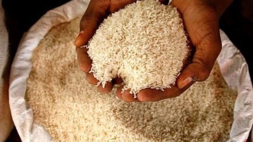 خواص برنج هاشمی
