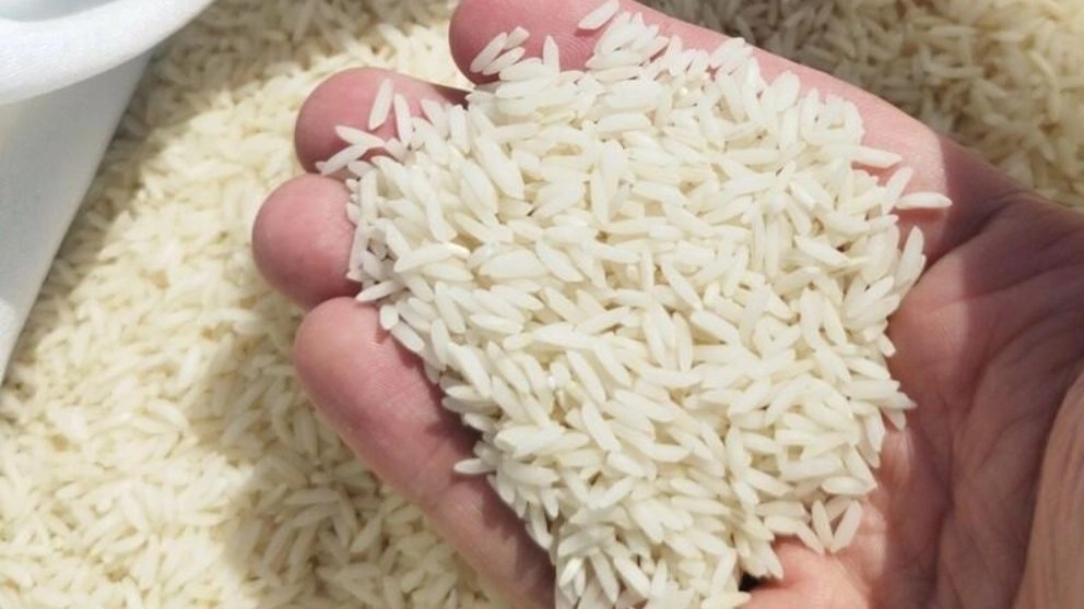 خواص برنج هاشمی