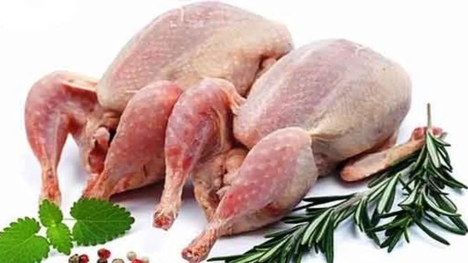 گوشت مرغ یا خروس؟