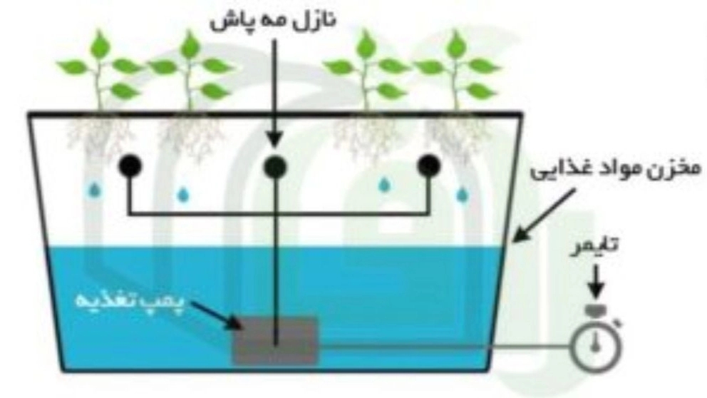 هیدروپونیک چیست؟