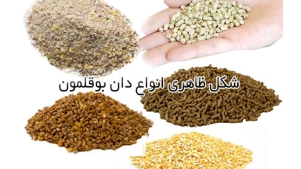دان بوقلمون
