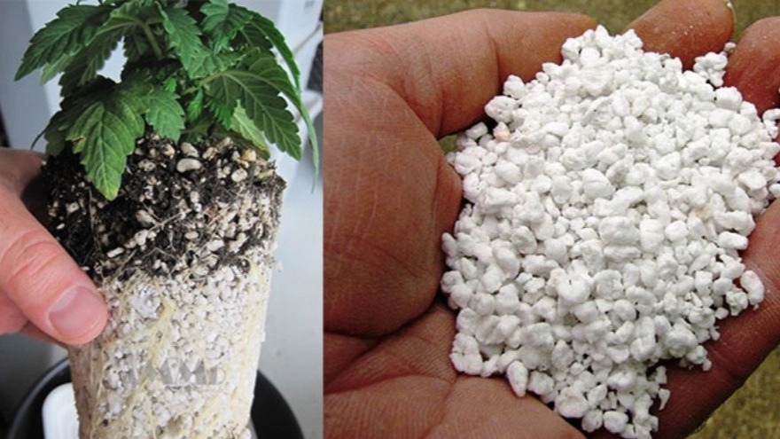 فواید استفاده از پرلیت