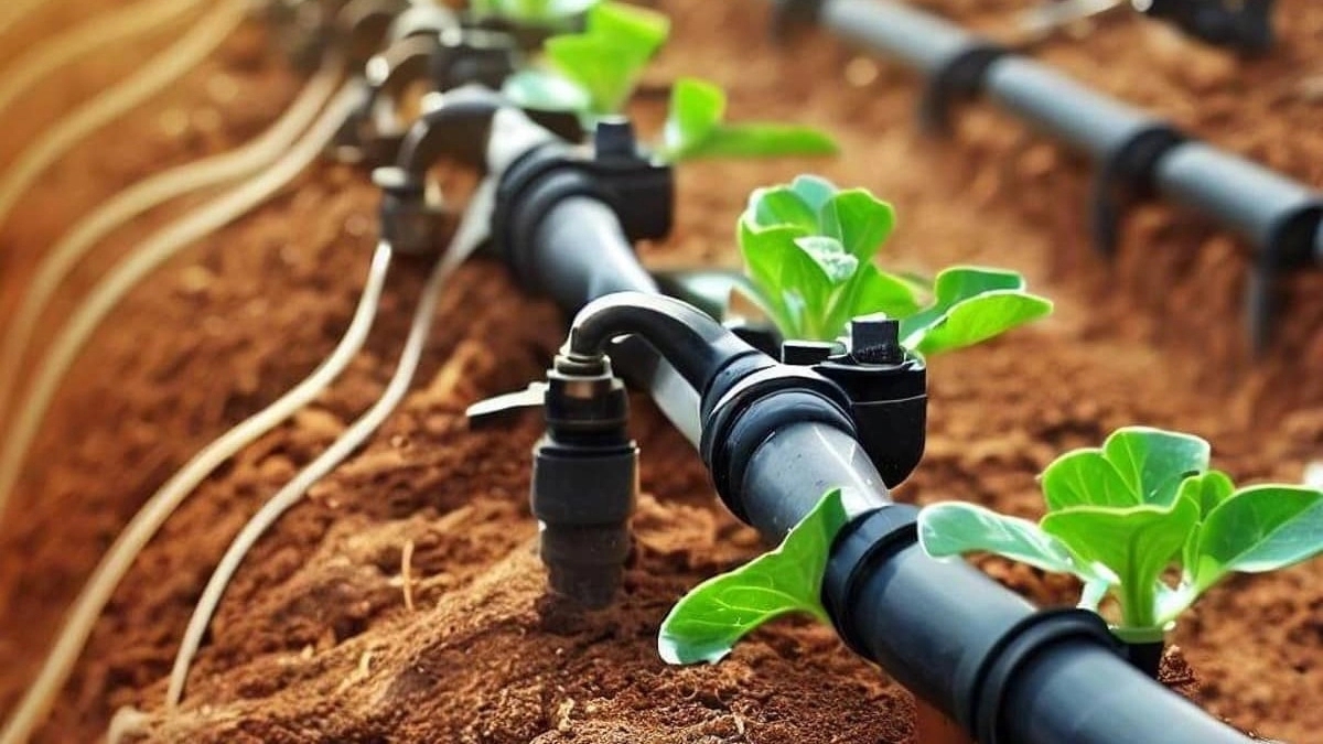 مزایای تجهیزات آبیاری قطره‌ ای
