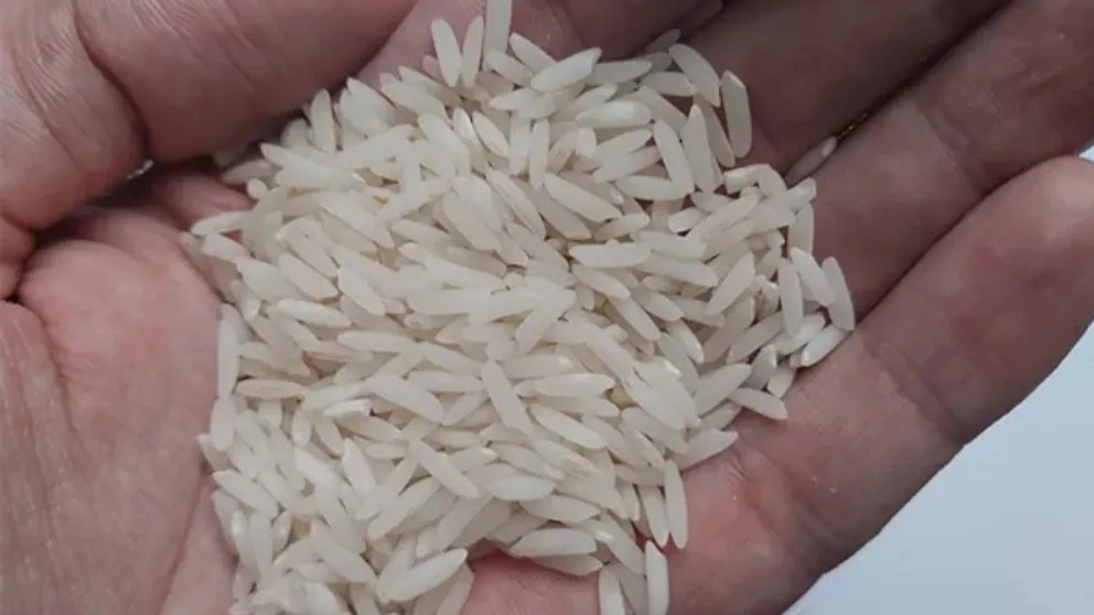 نکات مهم خرید برنج