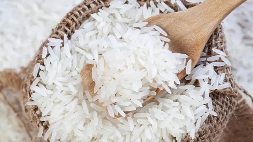 نکات مهم خرید برنج