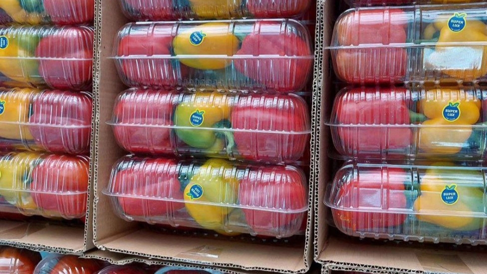 نکات مهم بسته بندی میوه های صادراتی