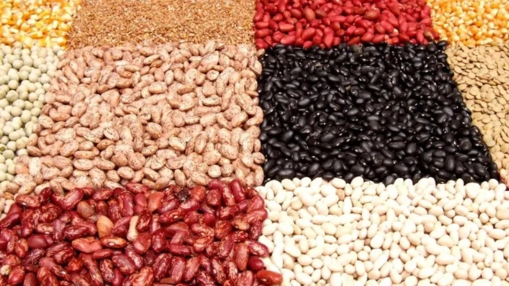 انواع حبوبات و خواص آن‌ها
