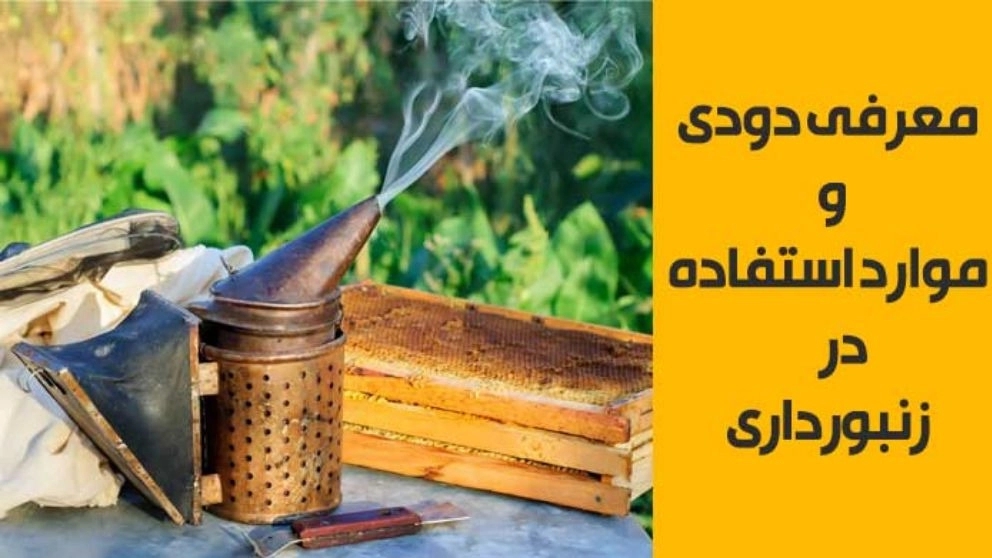 معرفی دودی و موارد استفاده از آن در زنبورداری