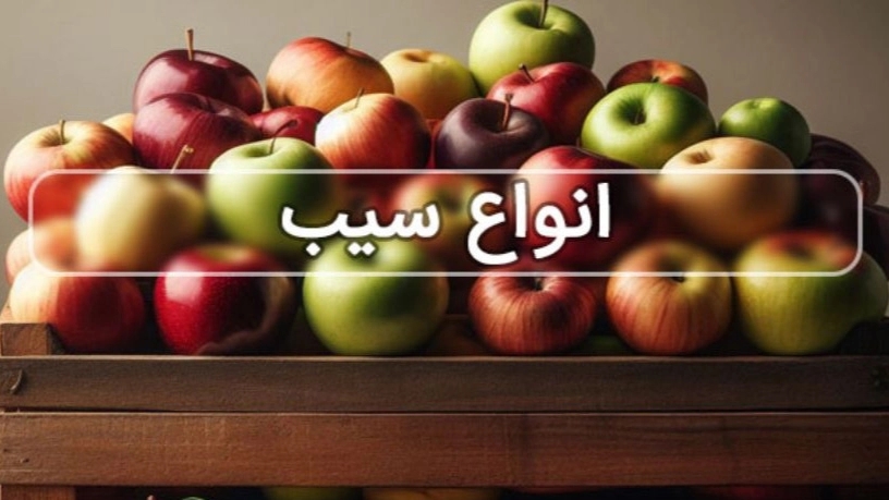 تعرف على أنواع مختلفة من التفاح