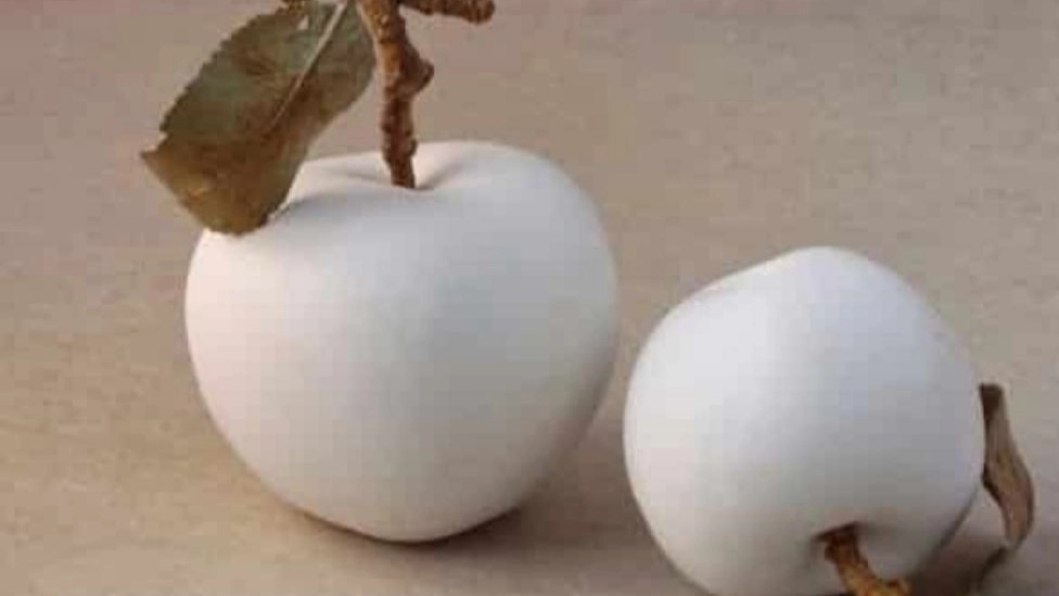 با انواع متفاوت سیب آشنا شوید