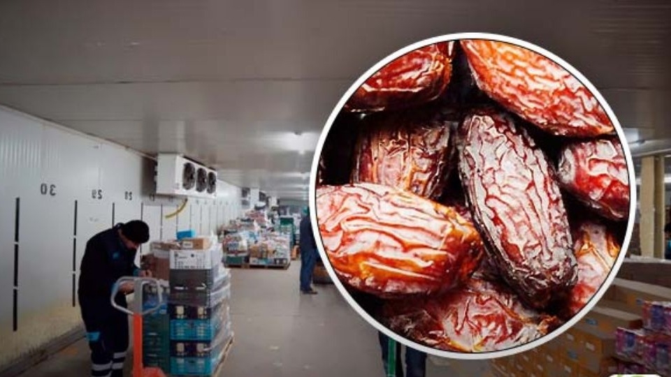 شرایط و مدت زمان نگهداری خرما در سردخانه