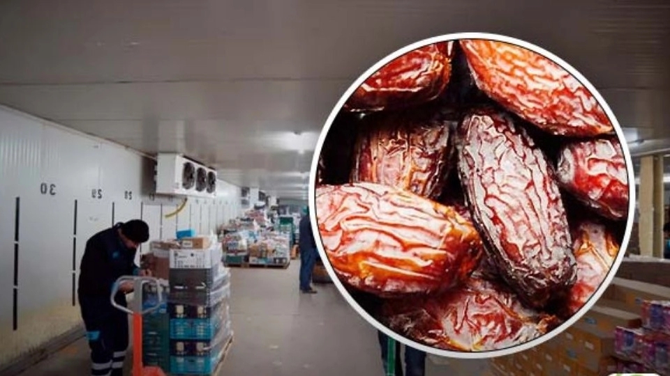 شرایط و مدت زمان نگهداری خرما در سردخانه