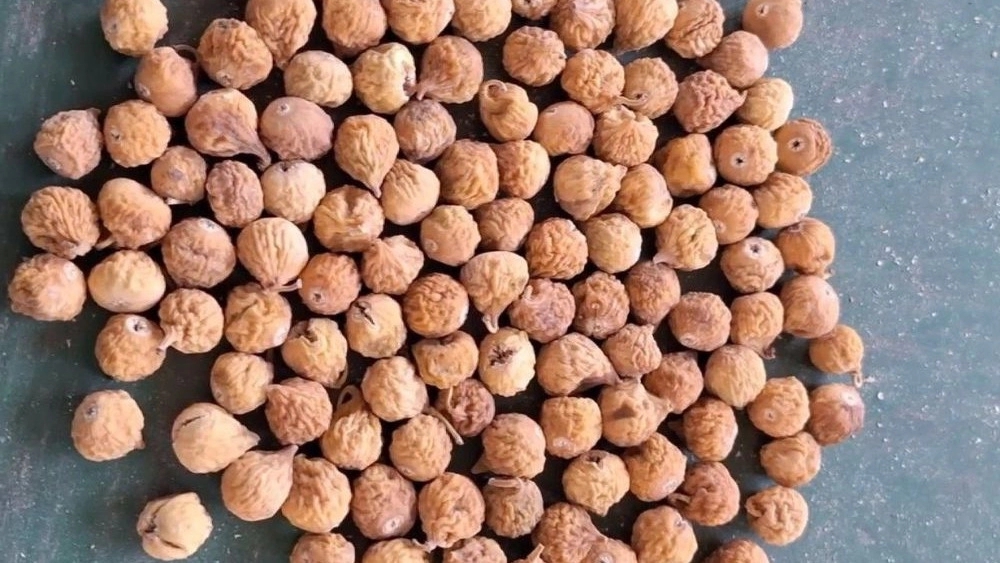 فروش انجیر خشک استهبان