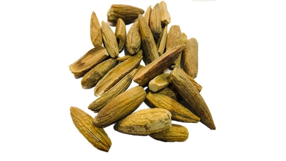 فروش میوه بلوط