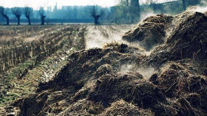 آشنایی با چند نوع کود زیستی