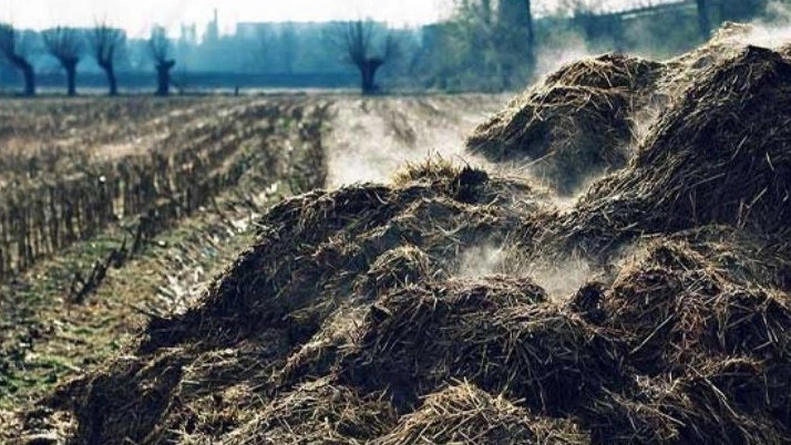 آشنایی با چند نوع کود زیستی