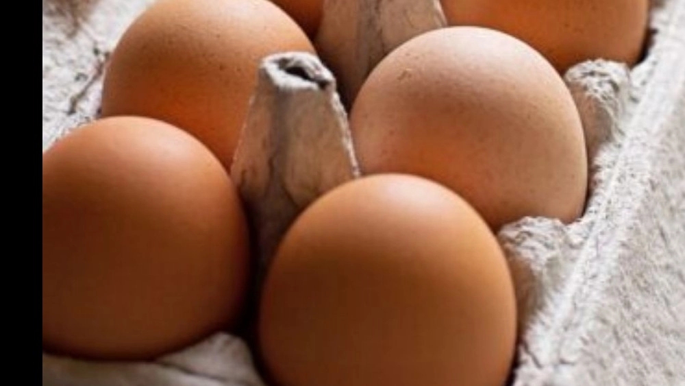شانه تخم مرغ و روش تولید آن