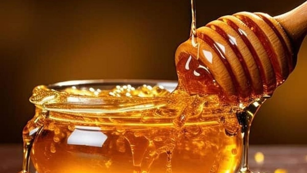 فواید عسل طبیعی ربیع برای عفونت بدن