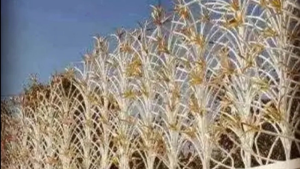 تولید فروش و نصب انواع حفاظ شاخ گوزنی ممتاز اکبری در تهران