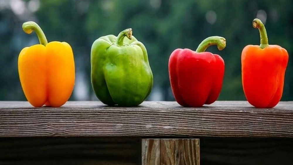 مزایای فلفل دلمه ای