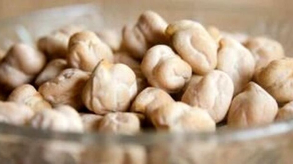 قیمت و فروش بذر نخود پاییزه
