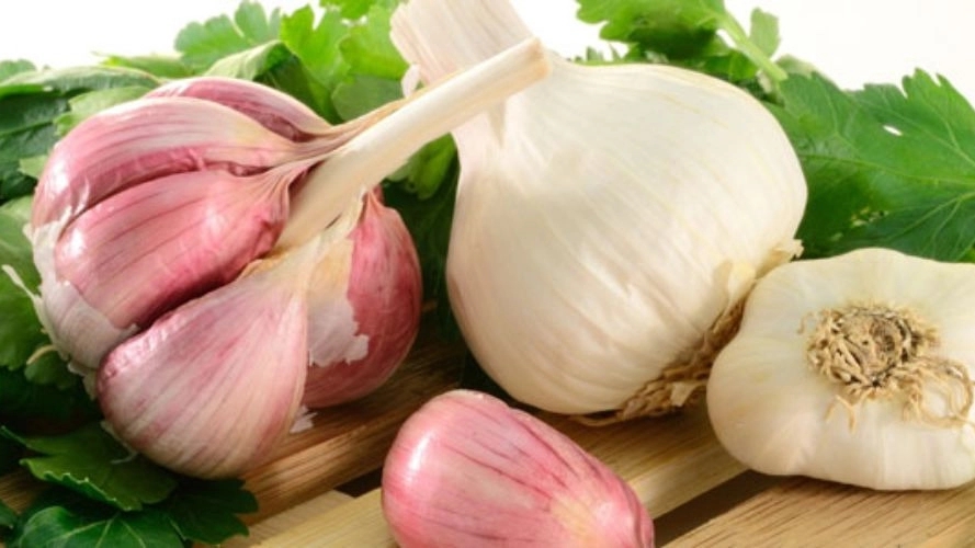 نکات نگهداری سیر