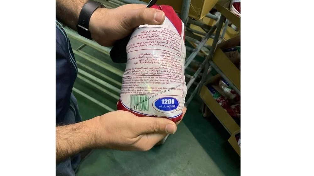 بازرگانی سورنا انزلی