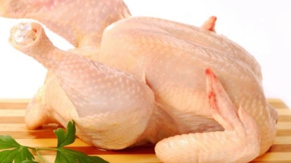 آلایش خوراکی مرغ