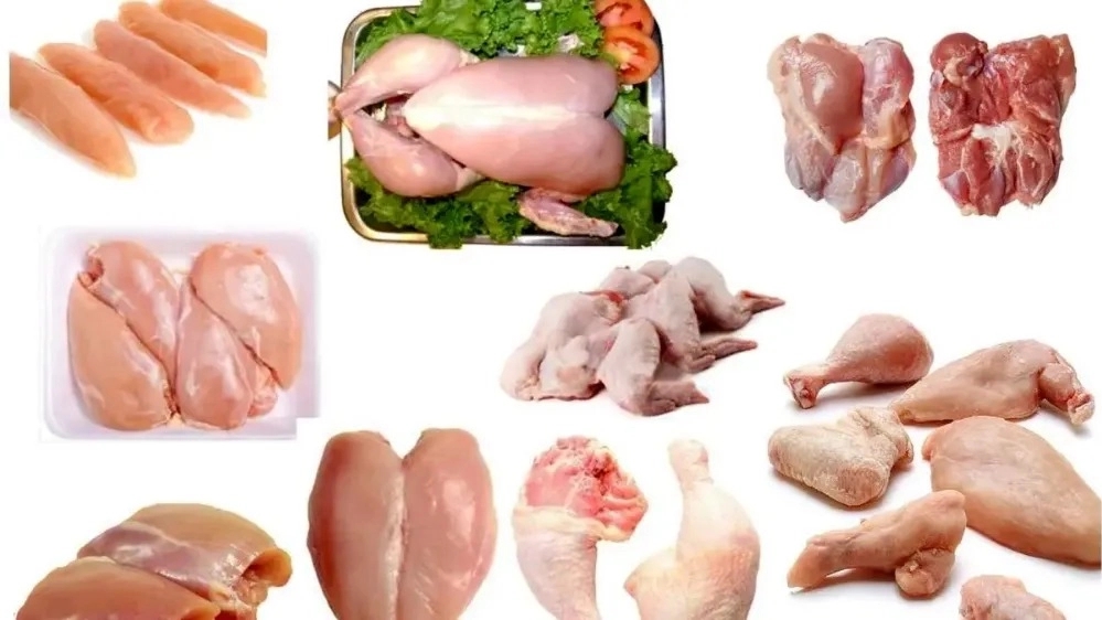 فروش و پخش آلایش مرغ با کیفیت