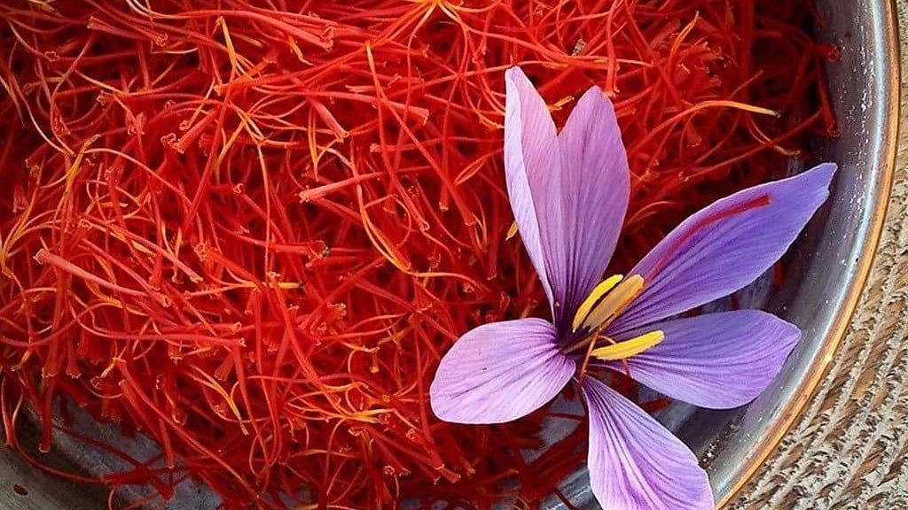 تفاوت زعفران نگین، سرگل و پوشال