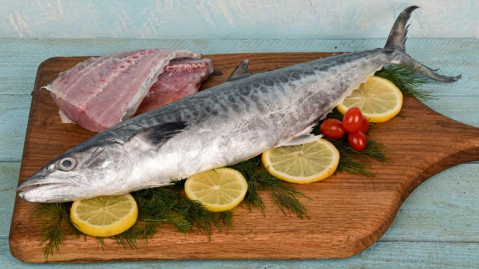 ماهی شیر جنوب: راهنمای کامل خرید، نگهداری و پخت ماهی شیر باکیفیت