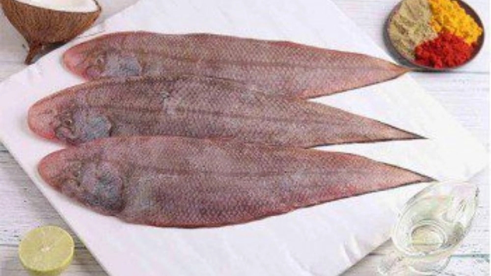 طعمی متفاوت از دریا: راهنمای جامع خرید، پخت و خواص ماهی زبون جنوب