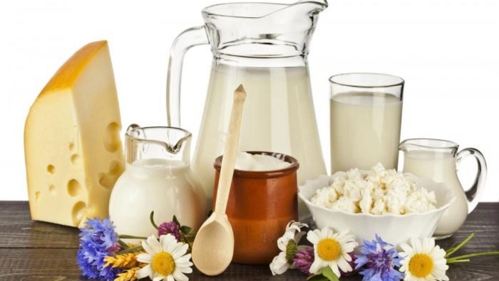 خواص و فواید مصرف لبنیات سنتی تازه در زنجان