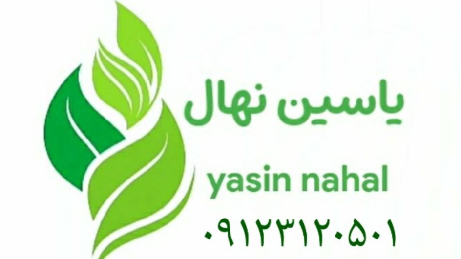 نهالستان یاسین