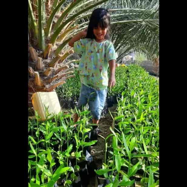1685516366730.webp