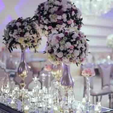 1693650772806.webp