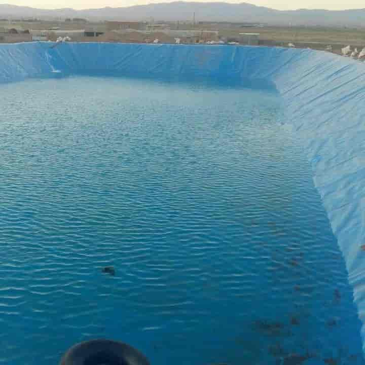 1694424819320.webp