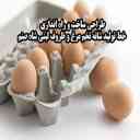 ظروف لبنی شاه صنم، طراحی ساخت و راه اندازی خط تولید شانه تخم مرغ در کرج