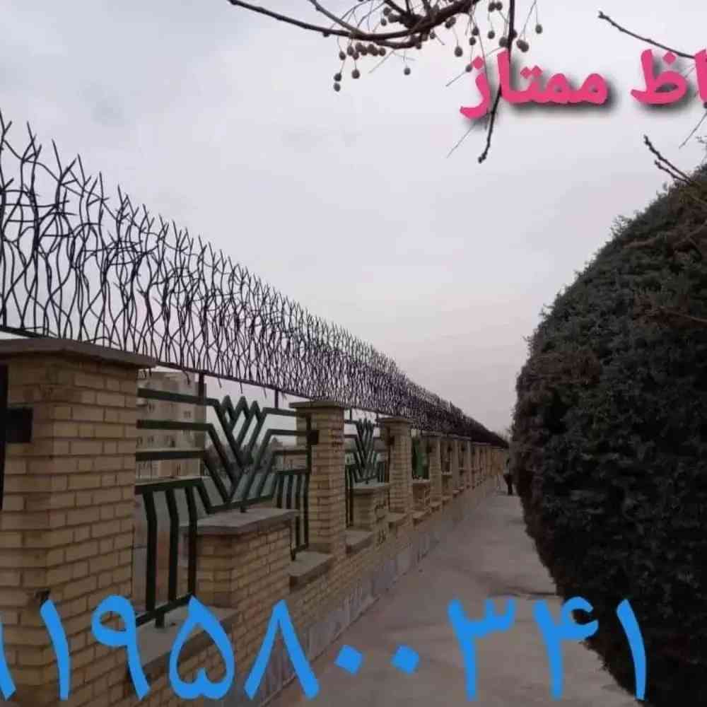 1729500791230.webp