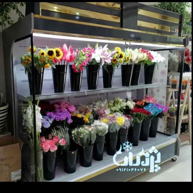 1751448436888.webp