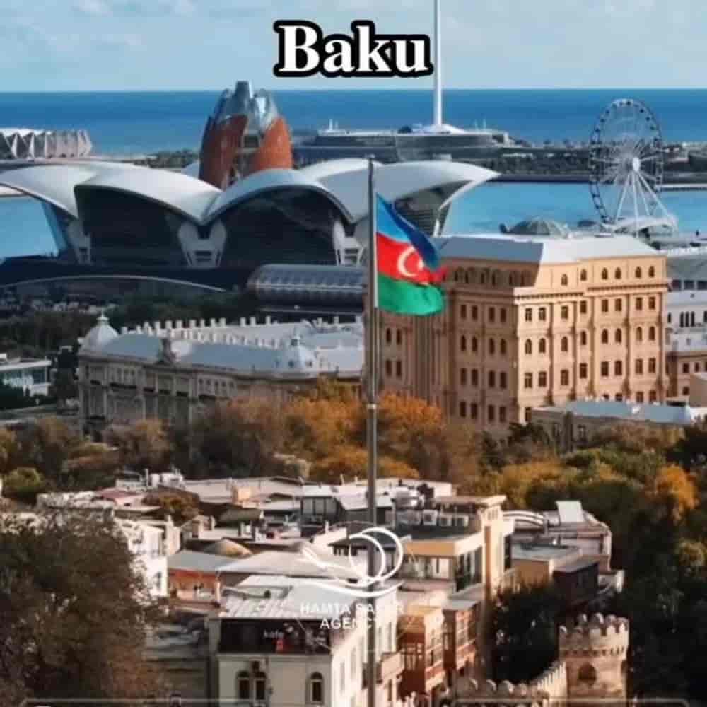 1764144205532.webp