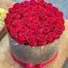 گل فروشی مطهره